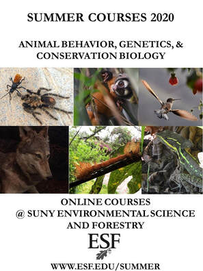SUNY ESF Online Course Offerings - PRIMATES, PARASITES, AND TROPICAL  CONSERVATION
